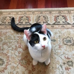 Meet your Posher, Katie